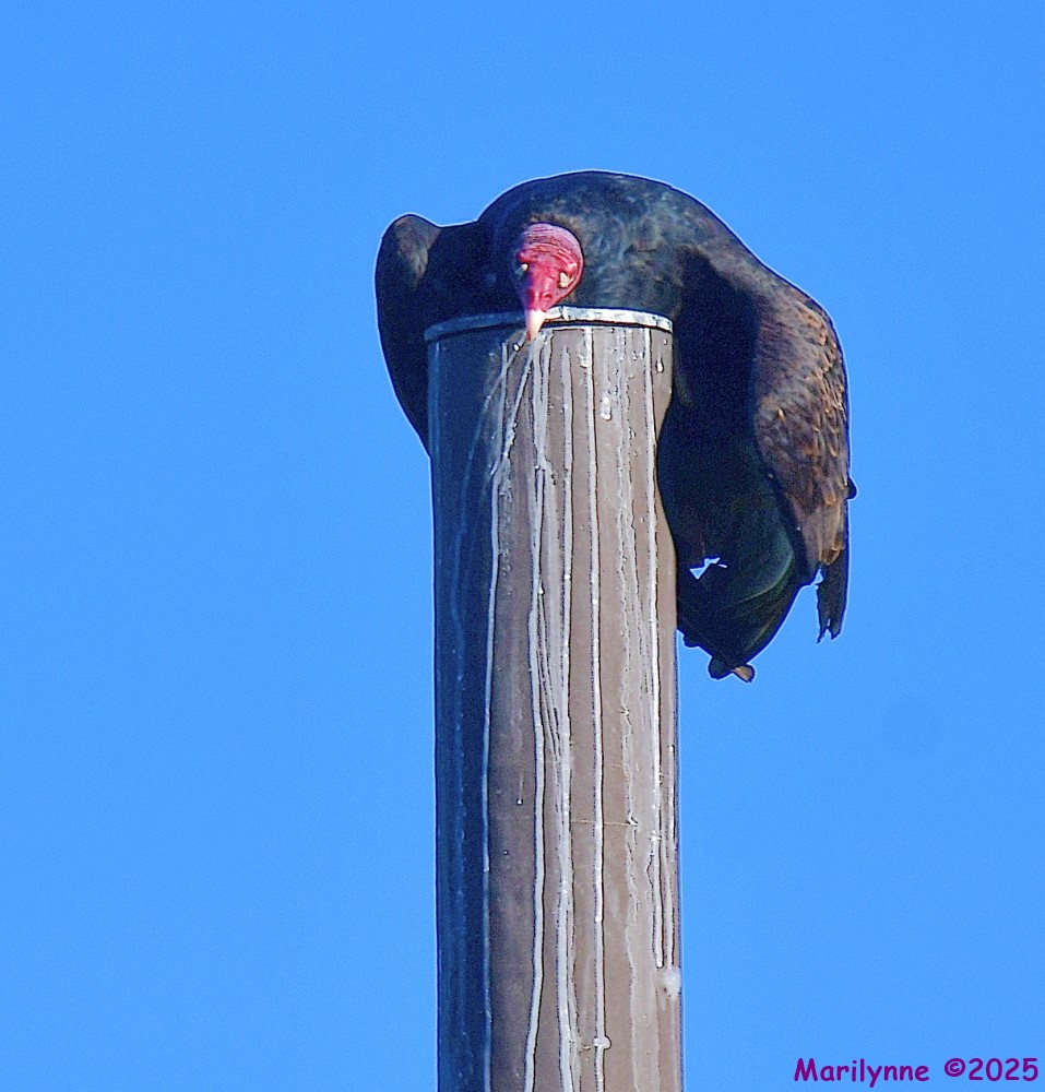 DSC_6760_001.JPG