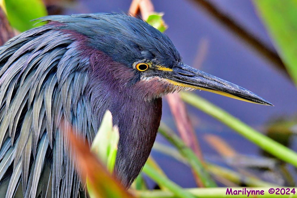 DSC_6769_001.JPG