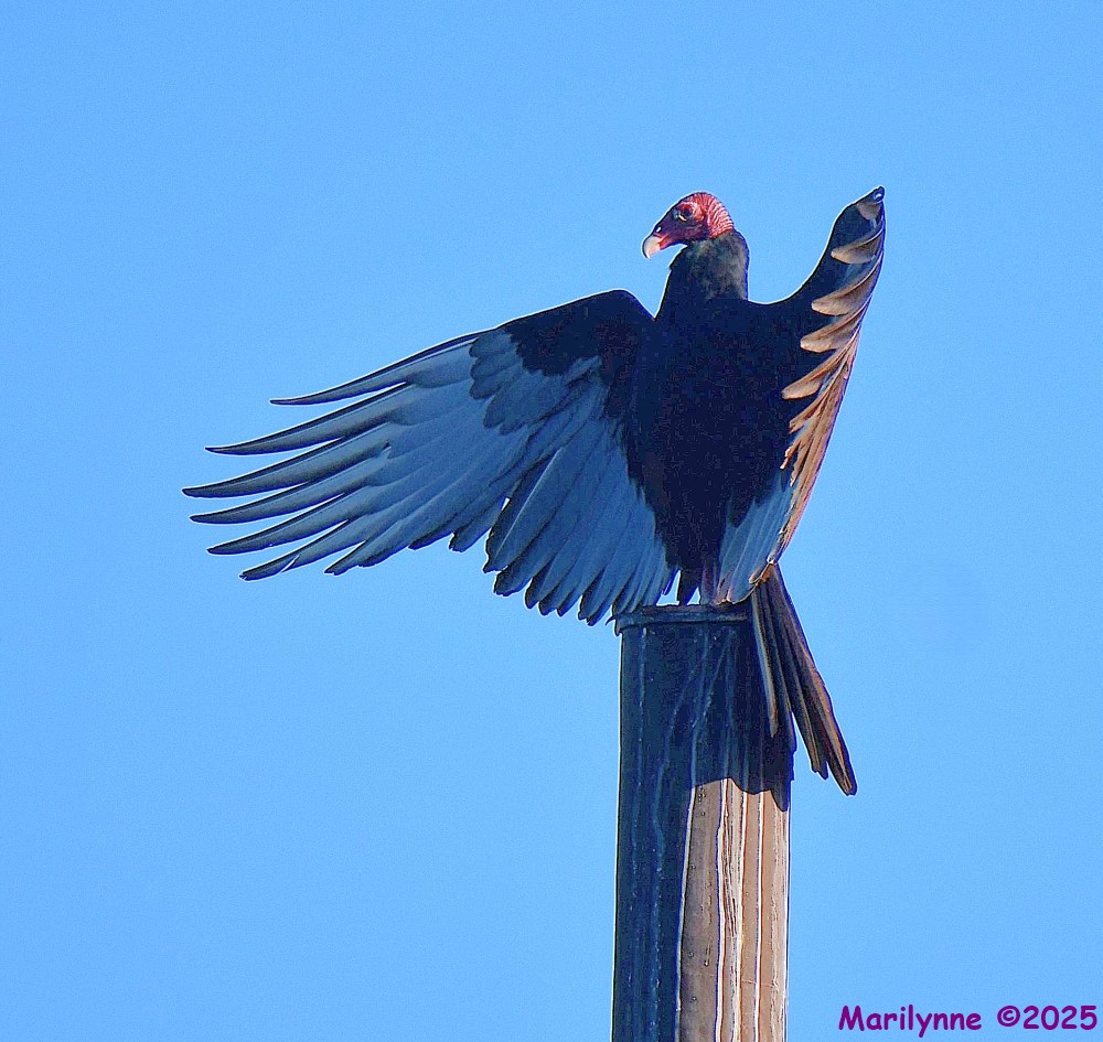 DSC_6769_001.JPG