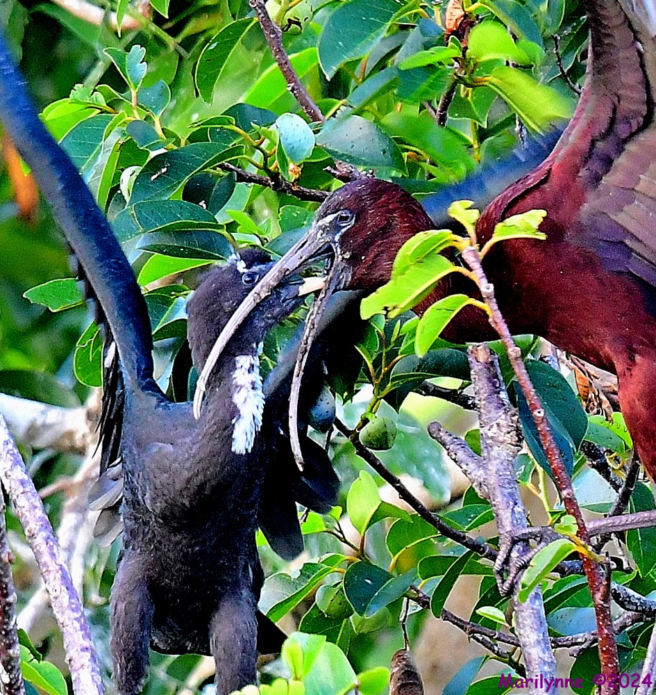 DSC_6770_001.JPG