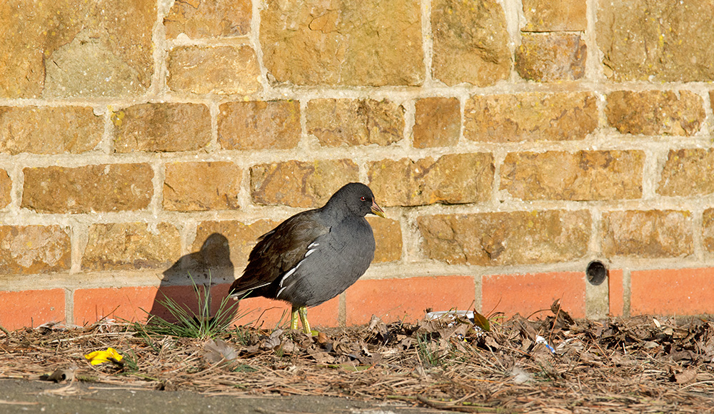 DSC_6773.jpg