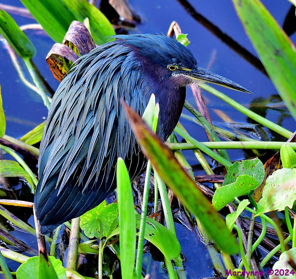 DSC_6773_001.JPG