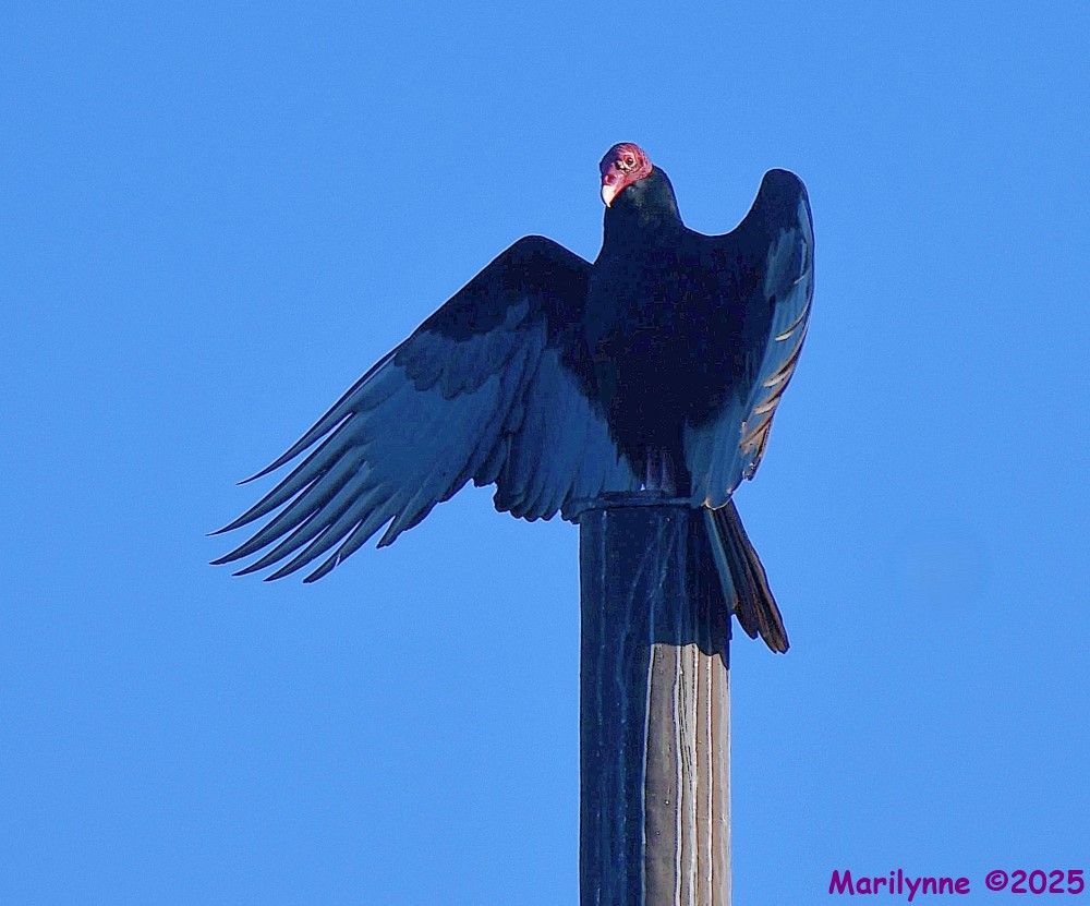DSC_6774_001.JPG