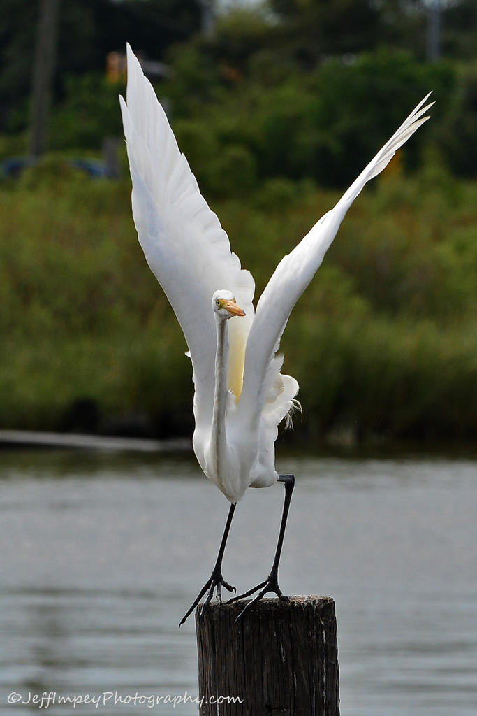 DSC_6776.jpg
