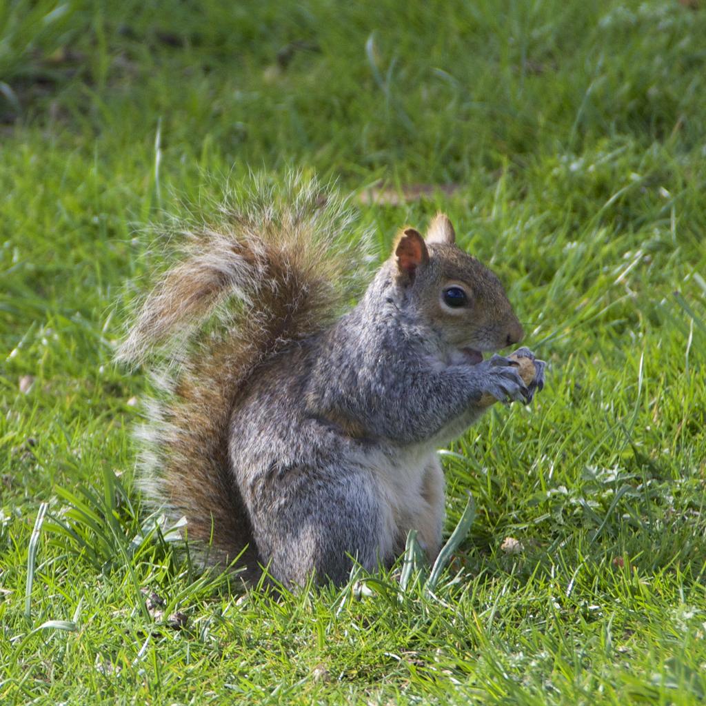 DSC_6783.jpg