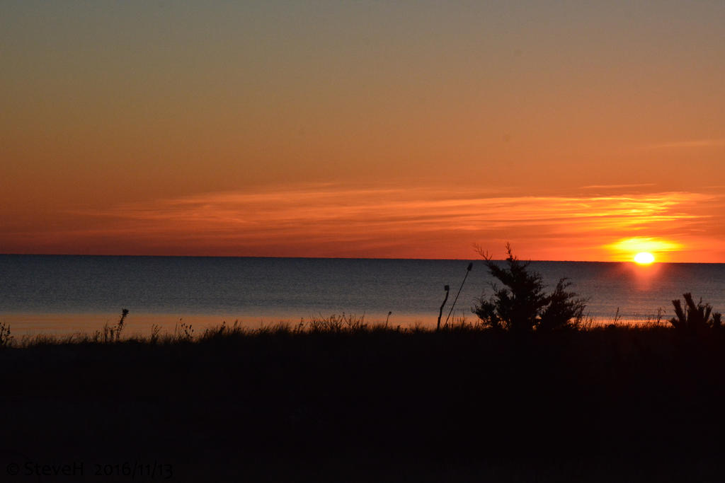 DSC_6784.jpg