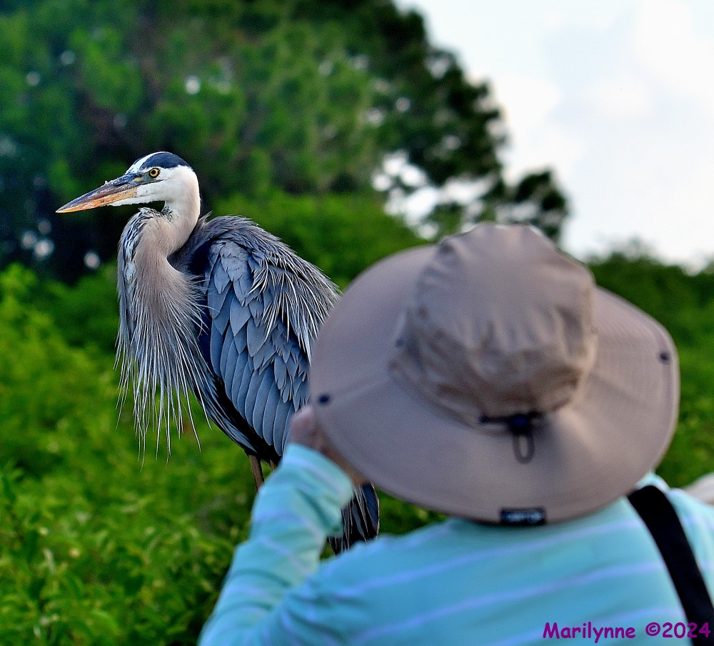 DSC_6784_001.JPG