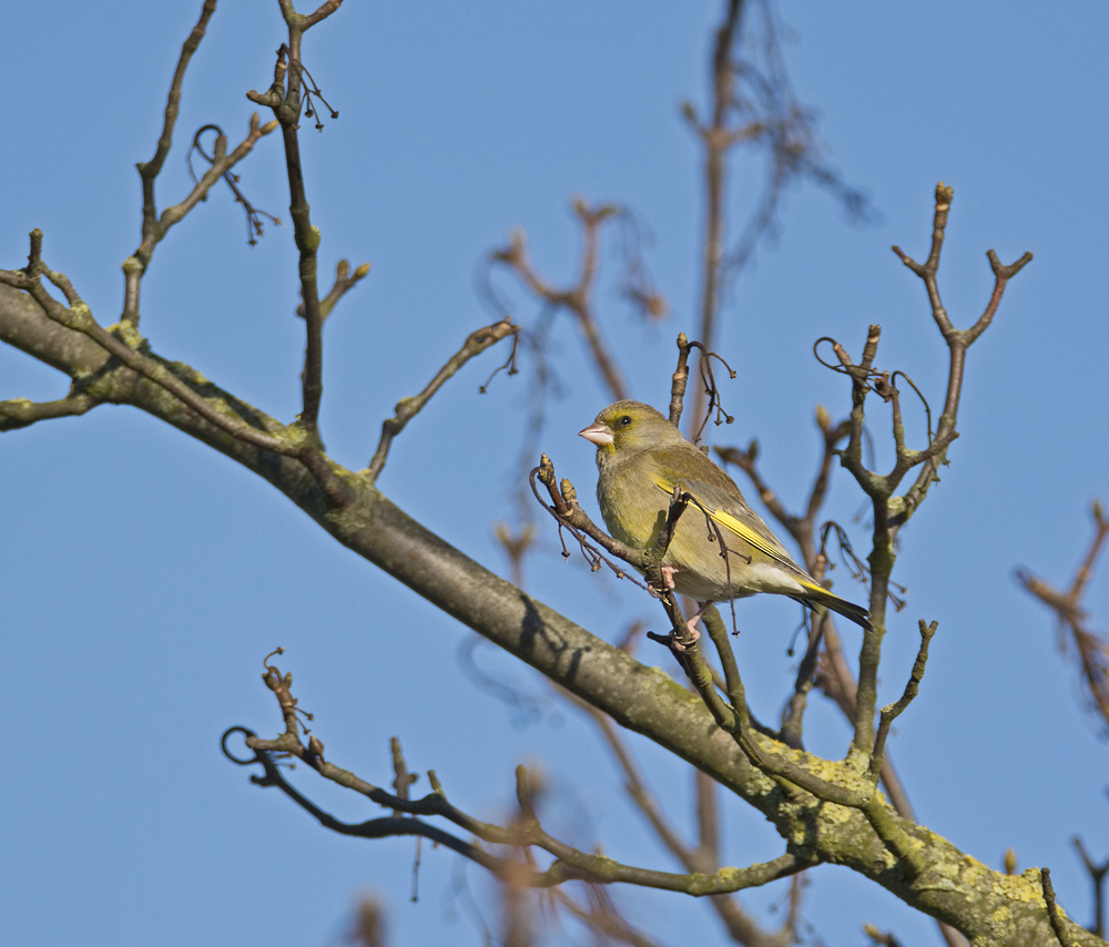 DSC_6788.jpg