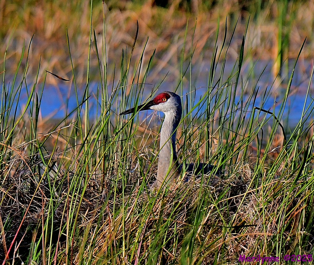 DSC_6788_001.JPG