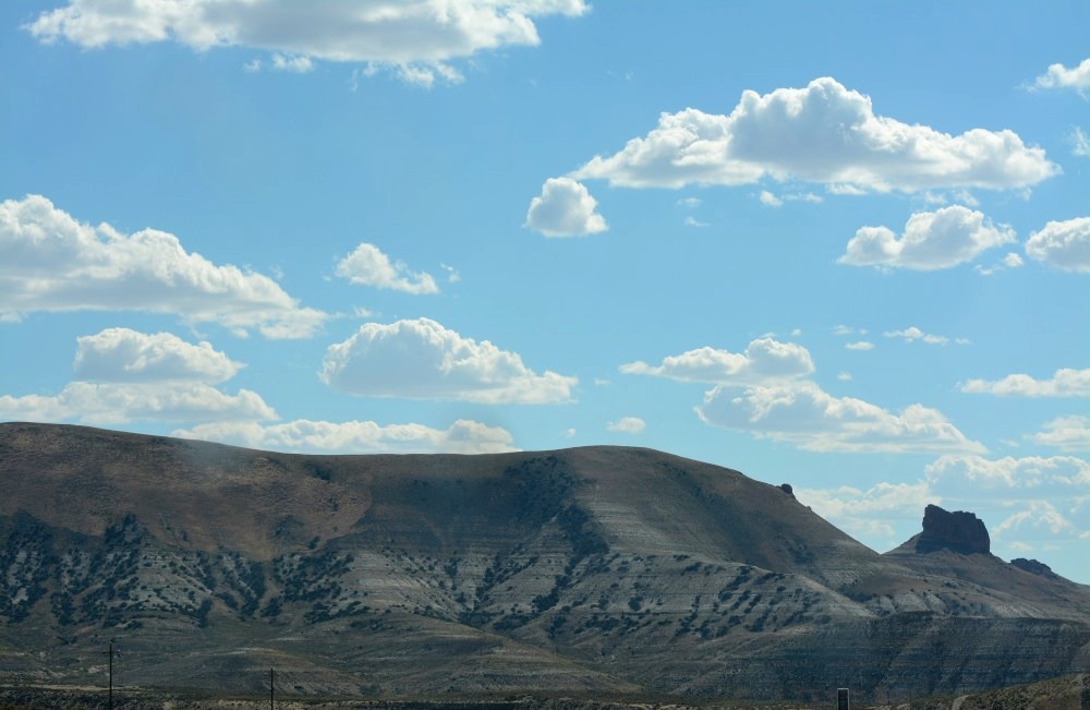 DSC_6792.JPG