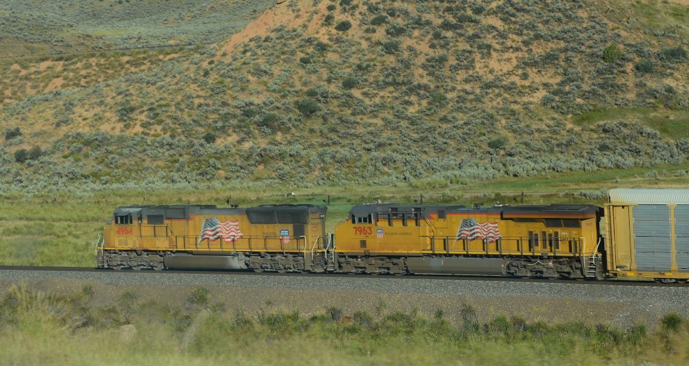 DSC_6794_01.JPG