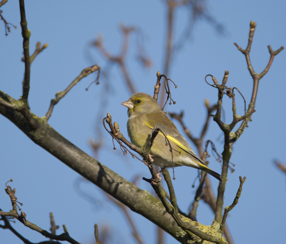 DSC_67953.jpg