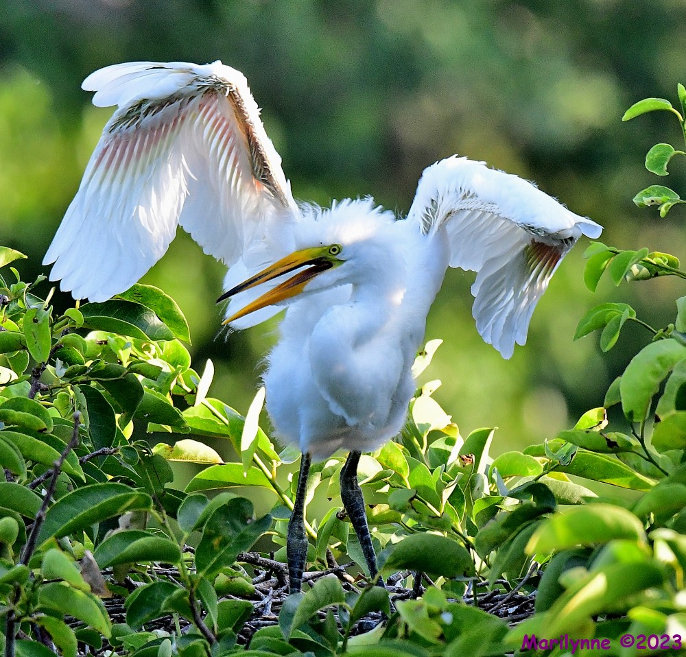 DSC_6795_001.JPG