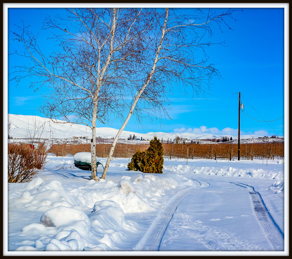 DSC_6799.jpg
