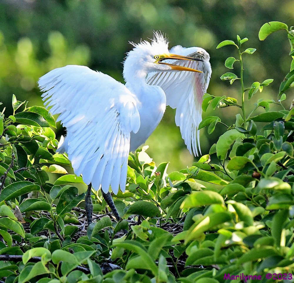DSC_6806_001.JPG