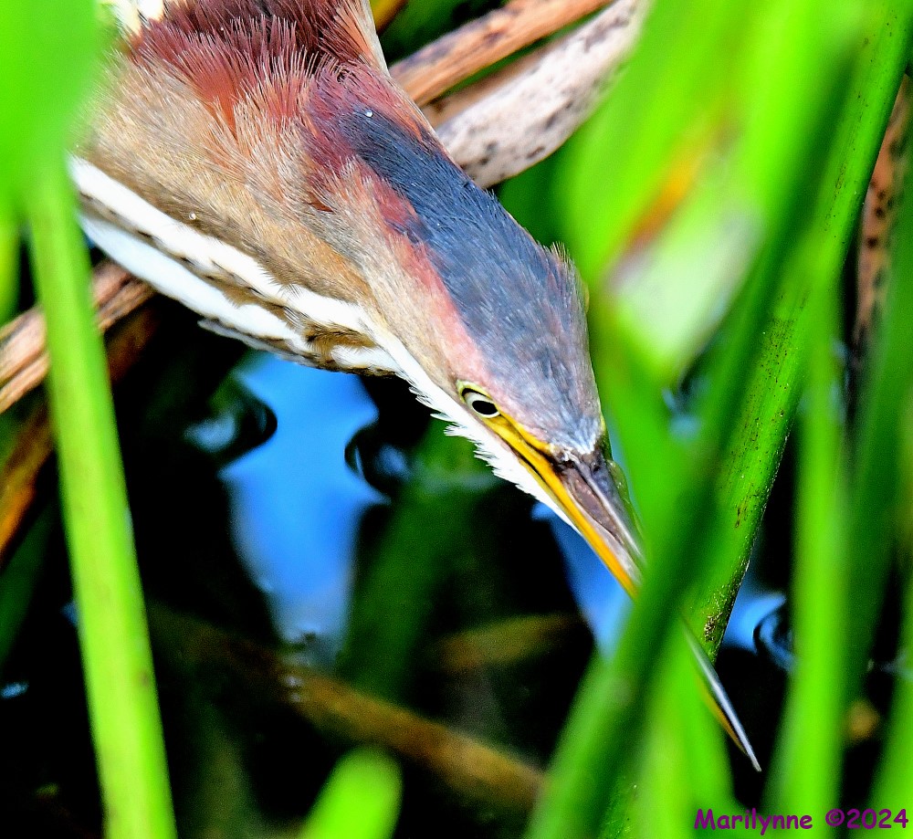 DSC_6808_001.JPG