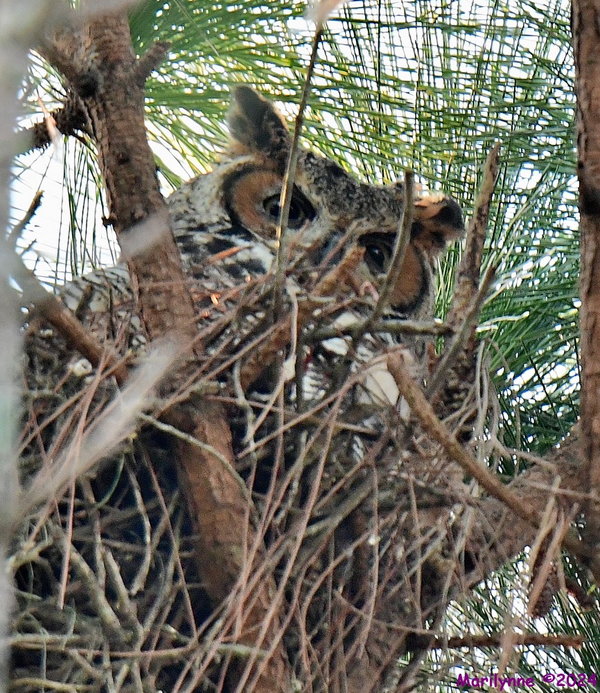 DSC_6810_001.JPG