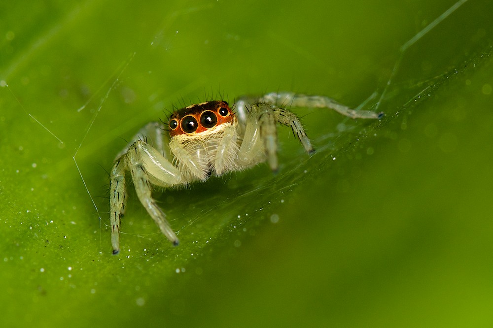 DSC_6814.jpg