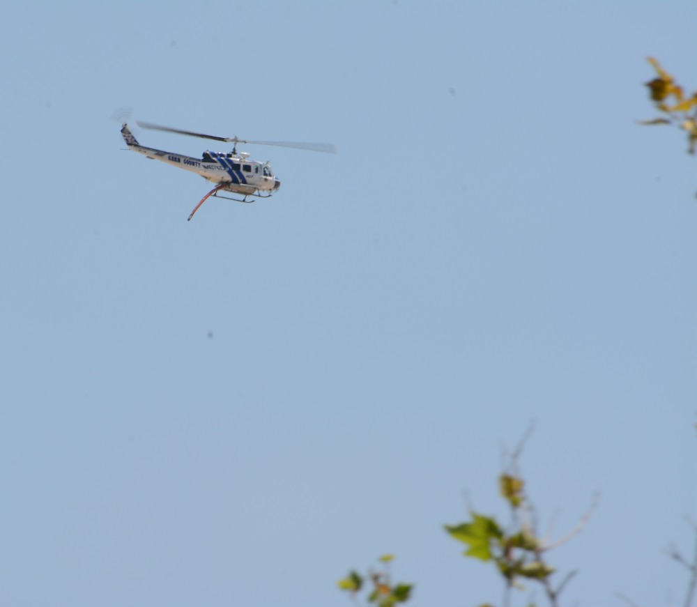DSC_6817.JPG