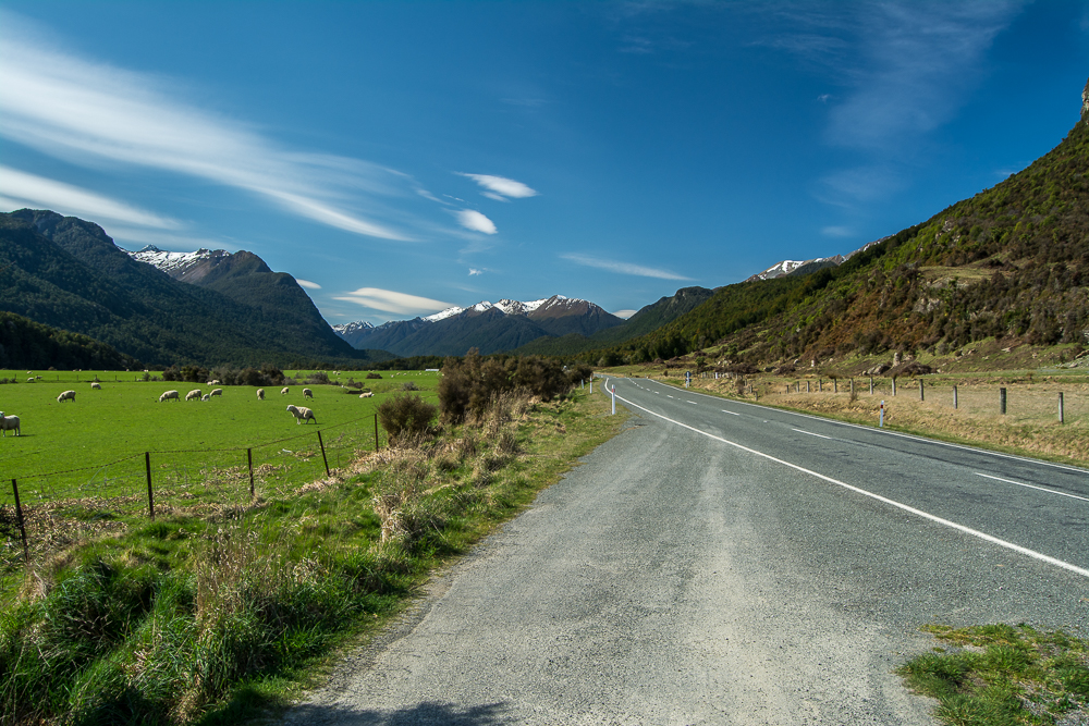 DSC_6818.jpg