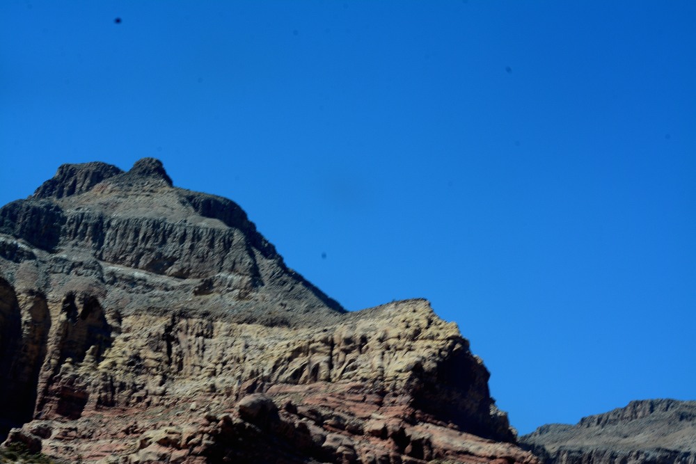 DSC_6819.JPG