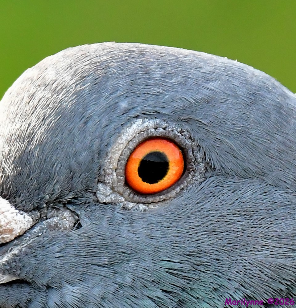 DSC_6819_001.JPG