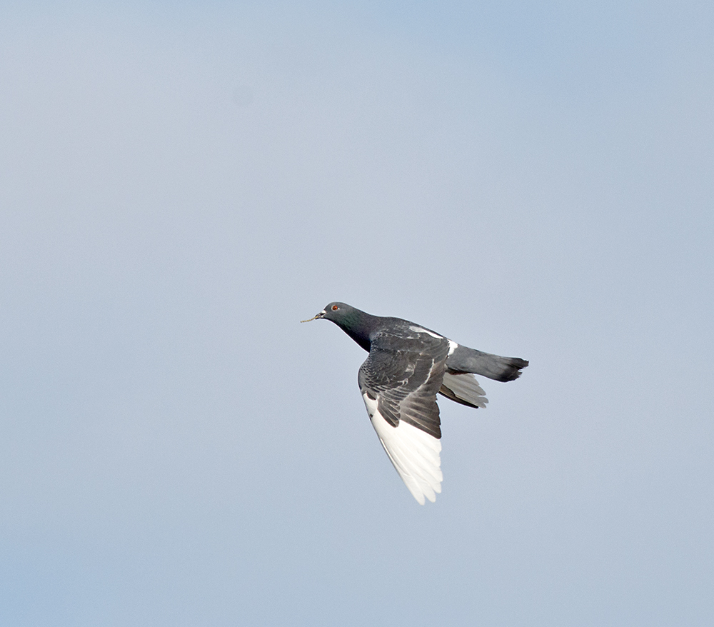DSC_6825.jpg