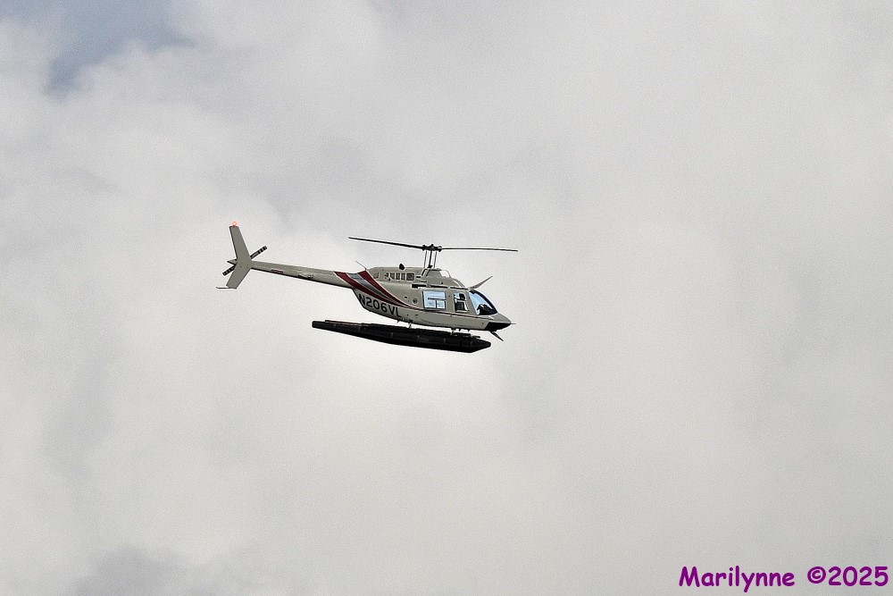 DSC_6828_001.JPG