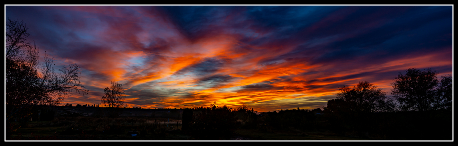 DSC_6829-Pano.jpg