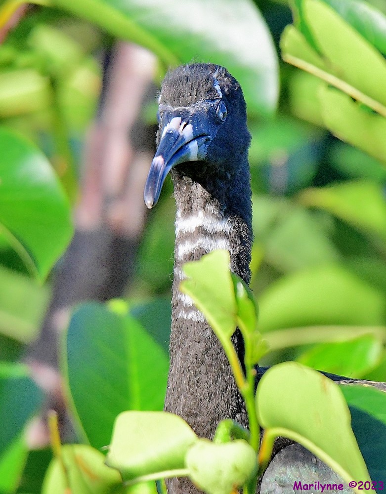 DSC_6830_001.JPG