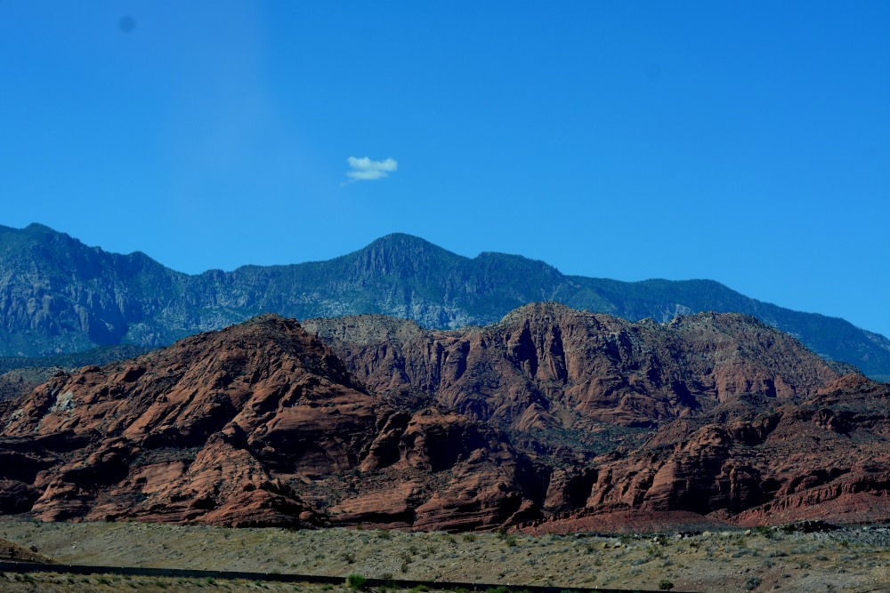 DSC_6831.JPG
