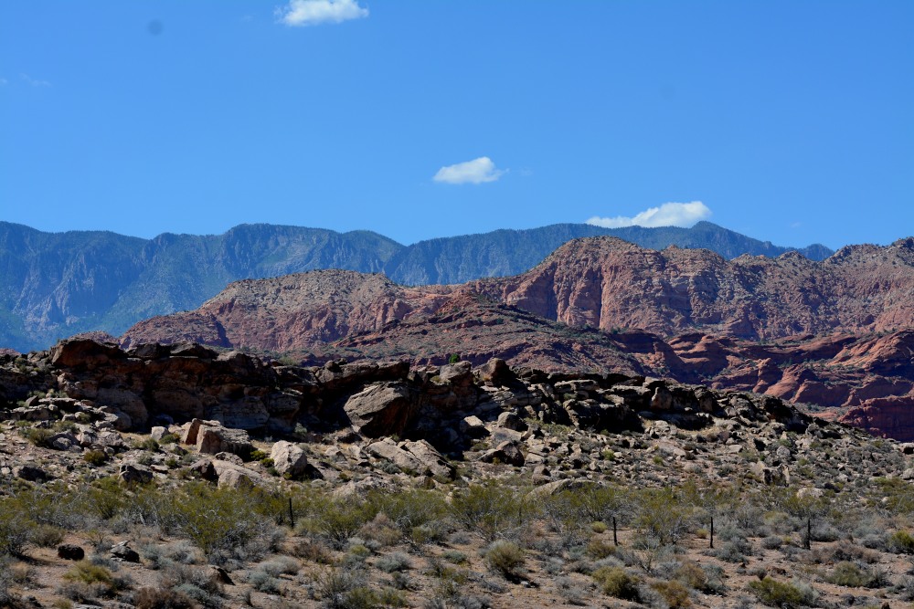 DSC_6833.JPG