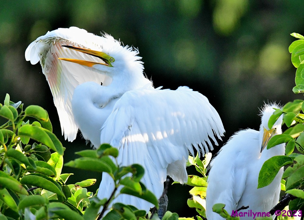 DSC_6834_001.JPG