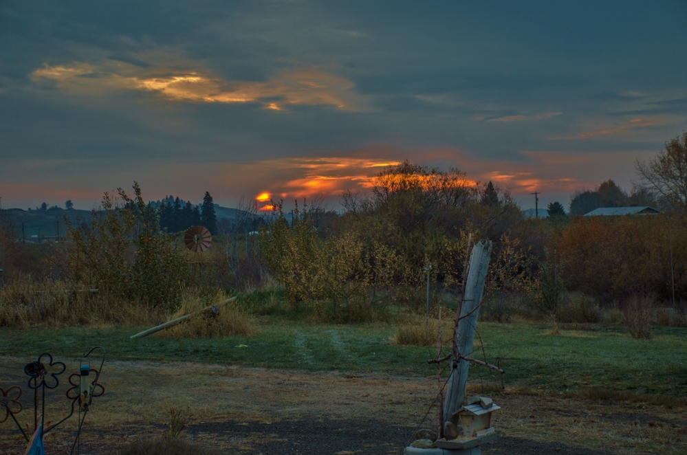 DSC_6835 (999x662).jpg