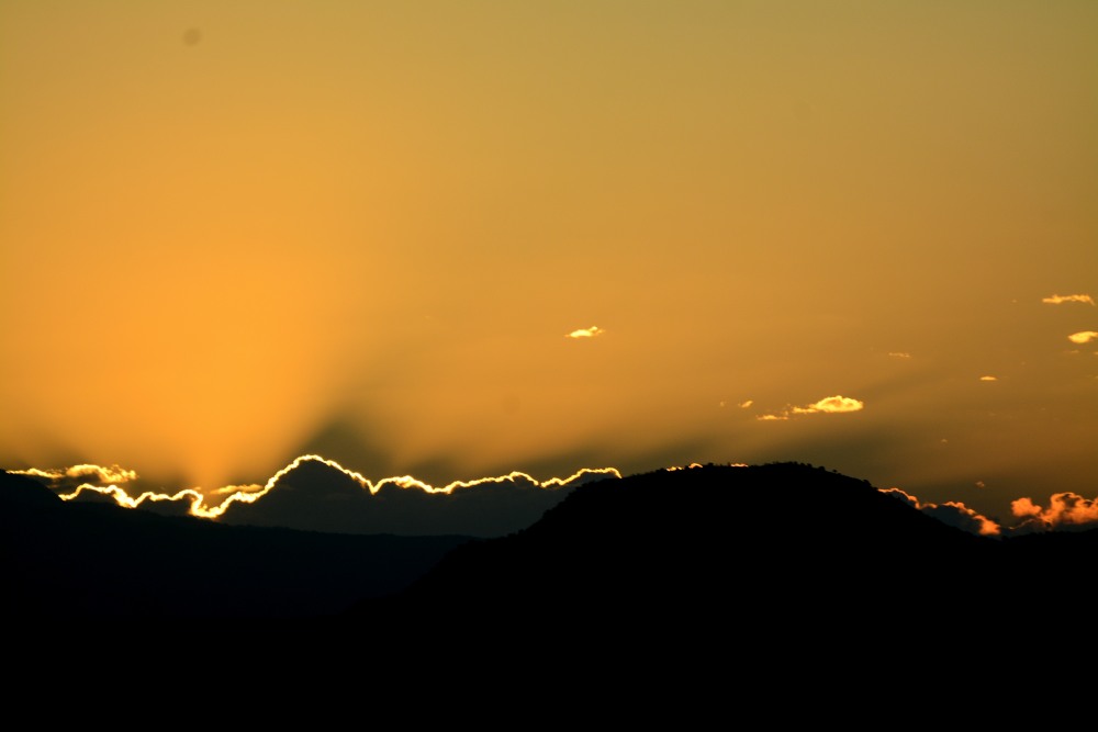 DSC_6835.JPG