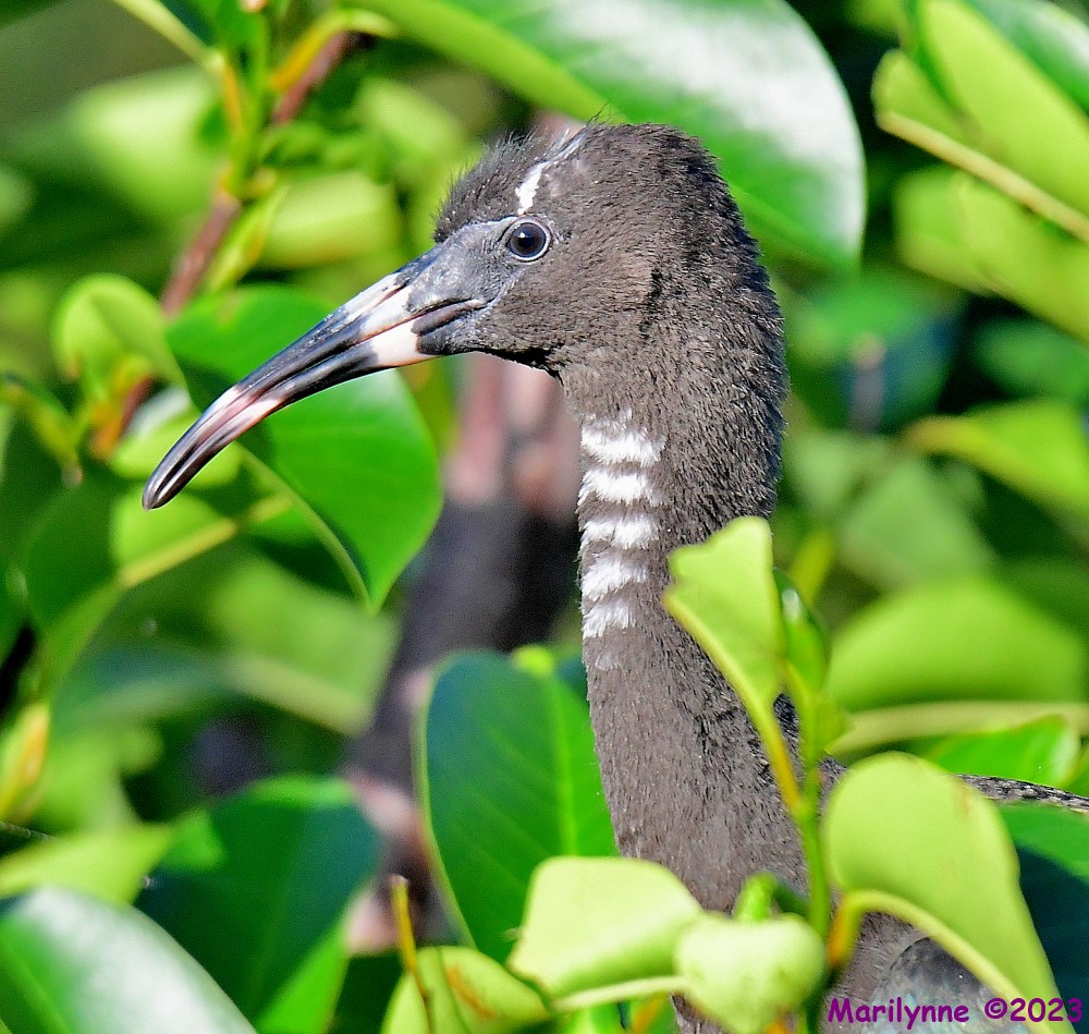 DSC_6835_001.JPG