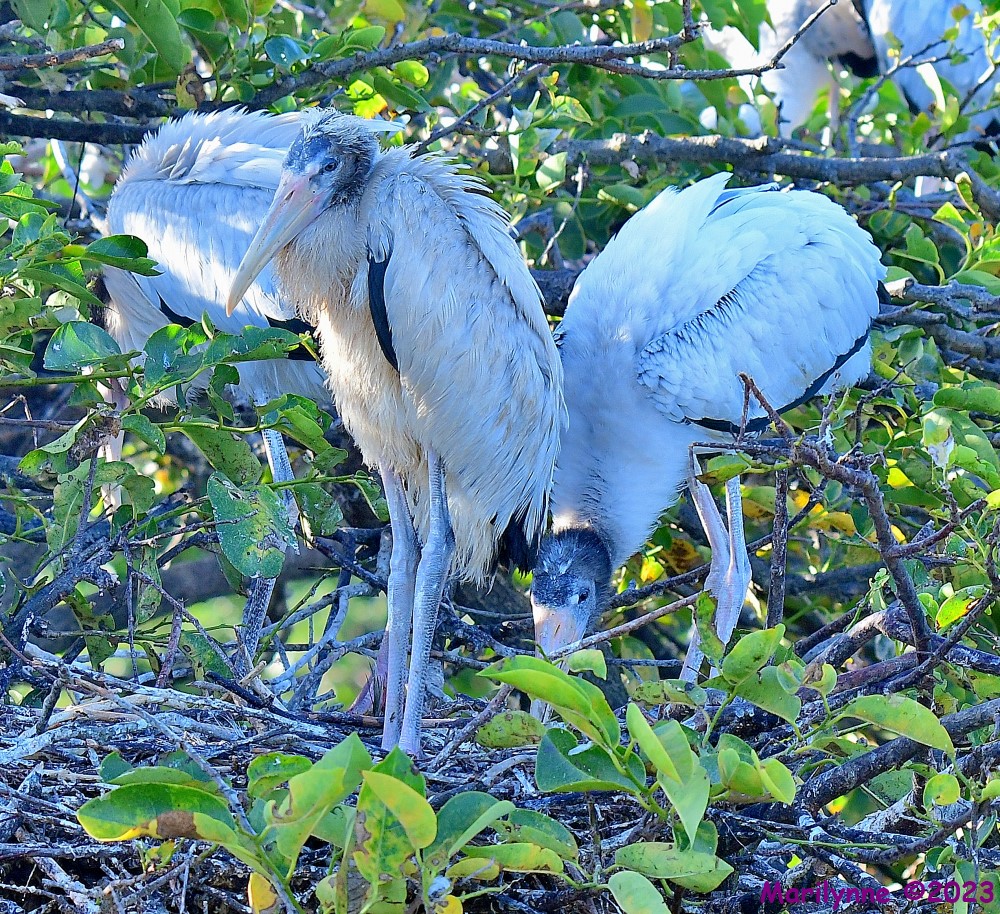DSC_6836_001.JPG