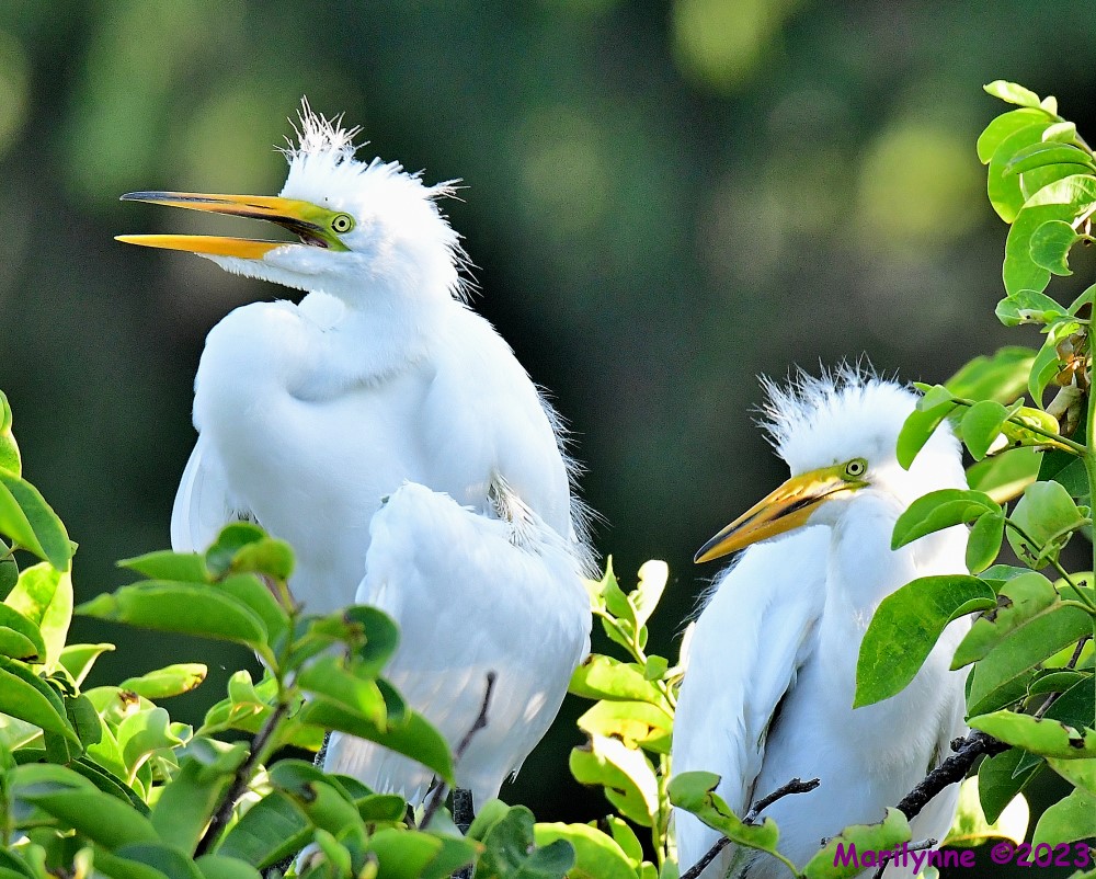 DSC_6836_001.JPG
