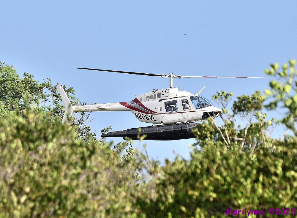 DSC_6838_001.JPG
