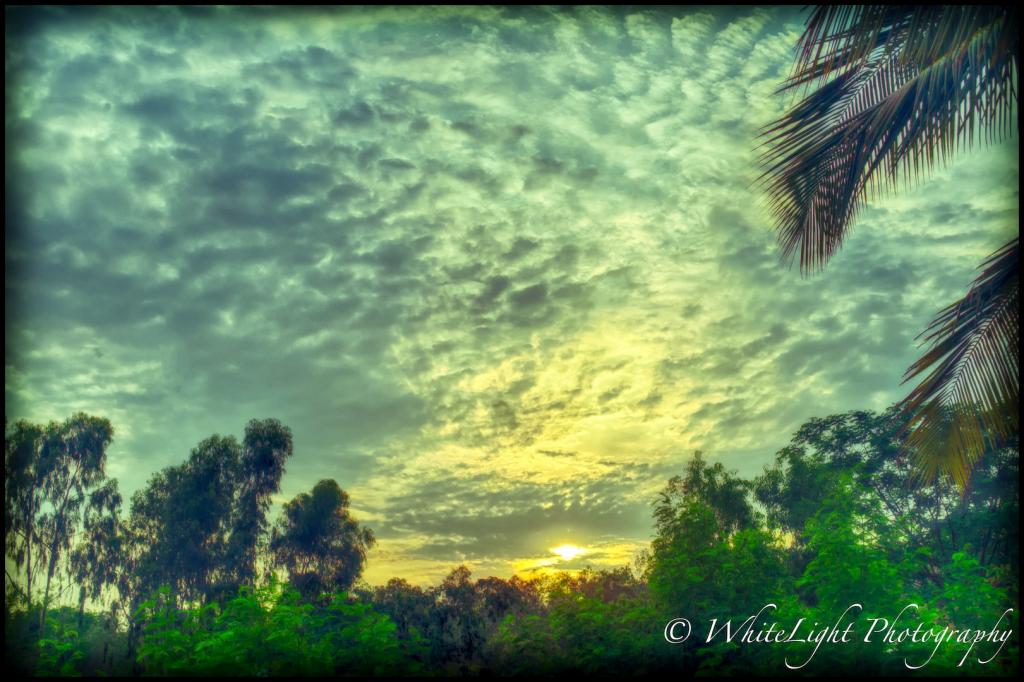 DSC_6838_HDR-2-2-2_WLP.jpg