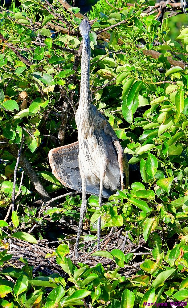 DSC_6839_001.JPG