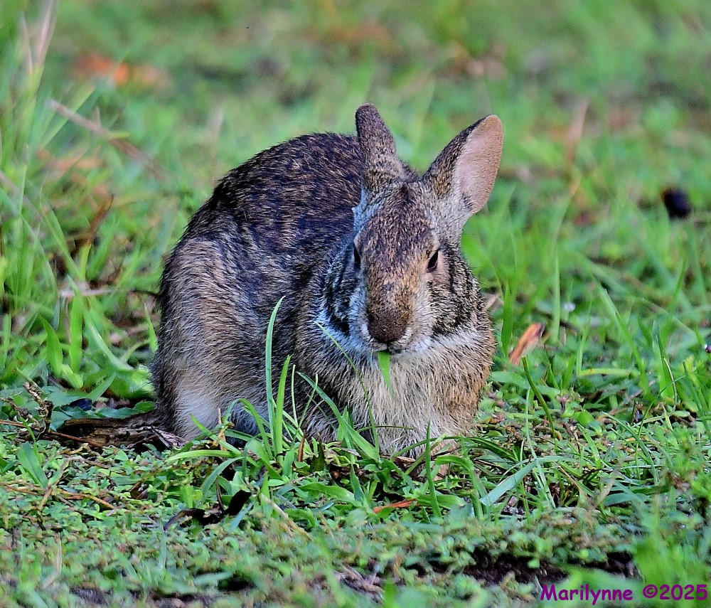 DSC_6840_001.JPG