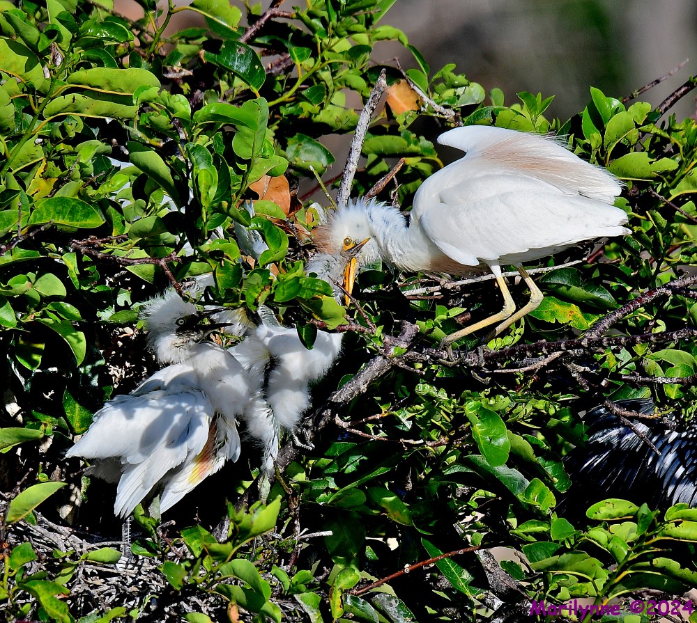 DSC_6842_stitch3_001.JPG