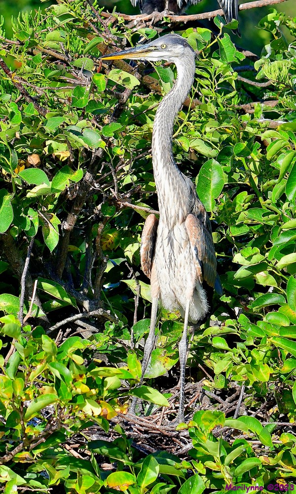 DSC_6843_001.JPG