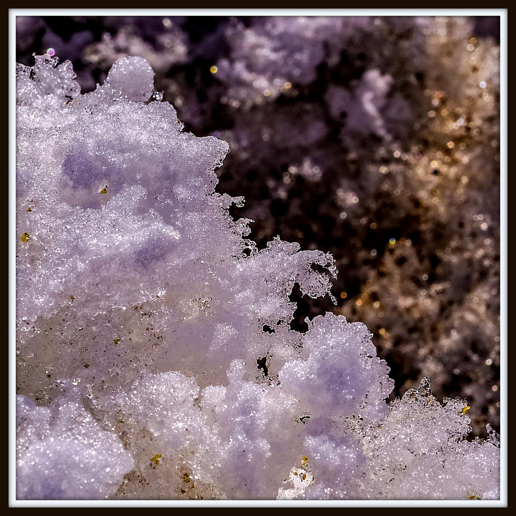 DSC_6847-Edit.jpg