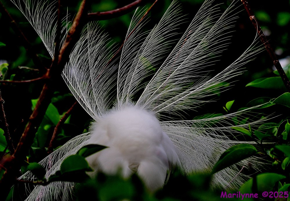 DSC_6847_001.JPG