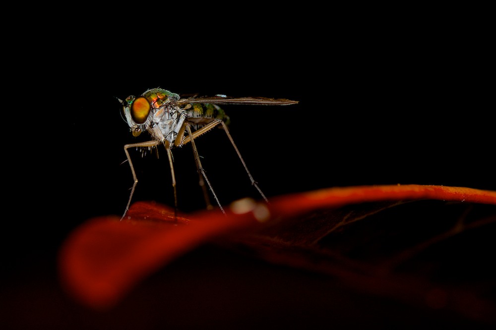 DSC_6850.jpg