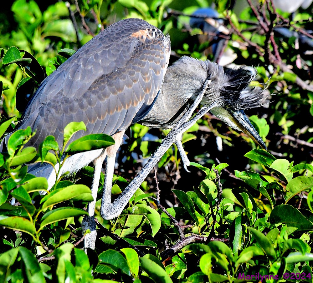DSC_6850_001.JPG