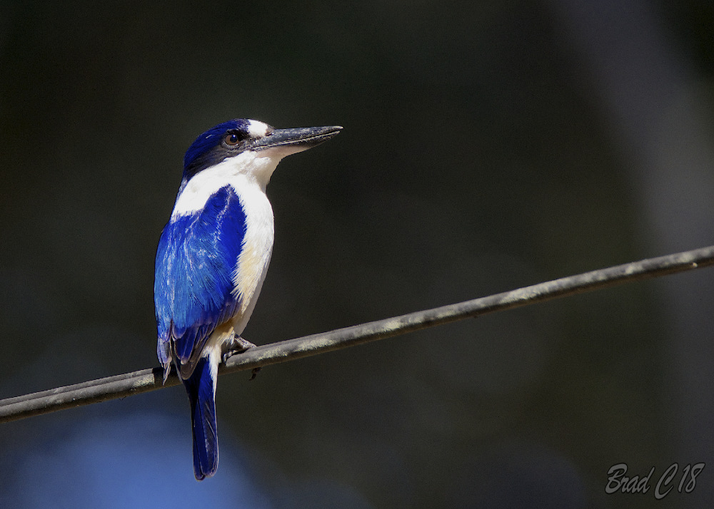 DSC_6852.jpg