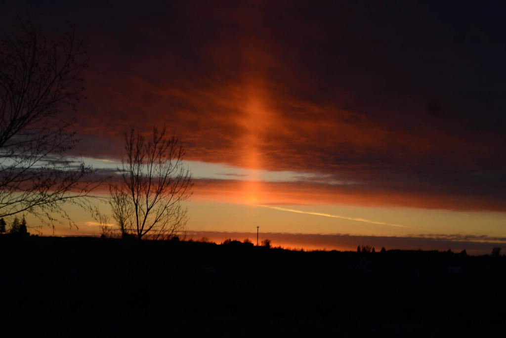 DSC_6857.jpg